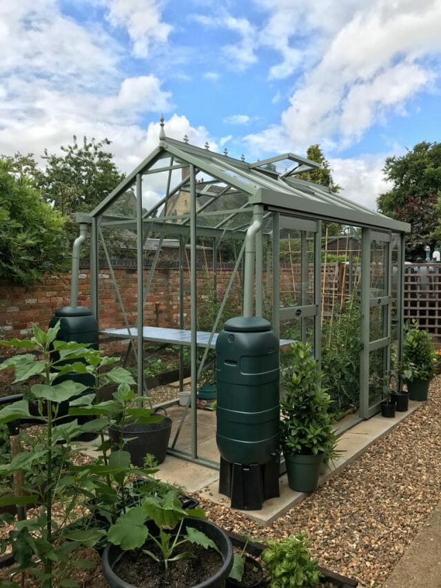 Free-Standing Gallery Dovetail Greenhouses