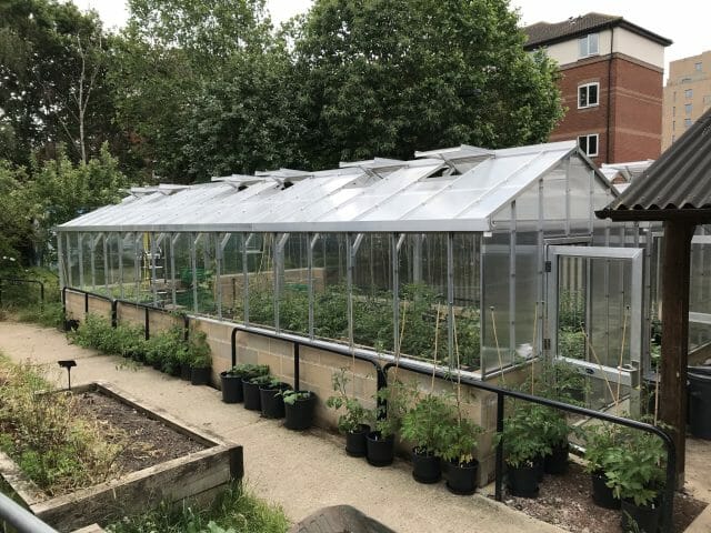 Semi-Commercial Greenhouses Gallery Dovetail Greenhouses
