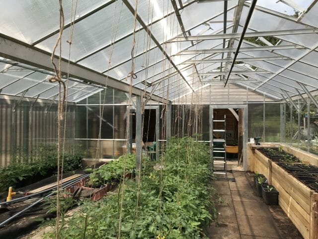 Semi-Commercial Greenhouses Gallery Dovetail Greenhouses