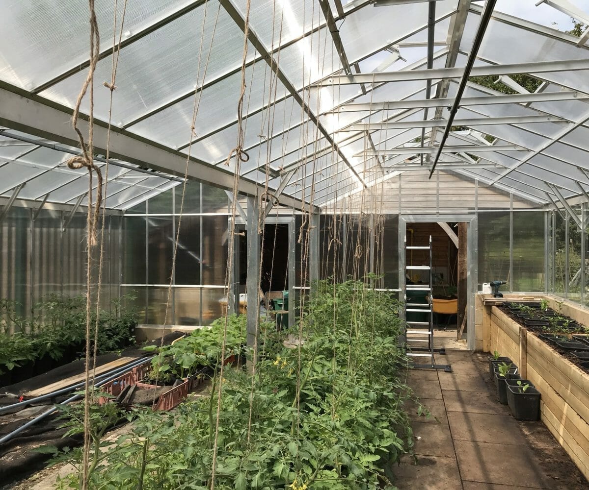 Greenhouse Galleries Dovetail Greenhouses