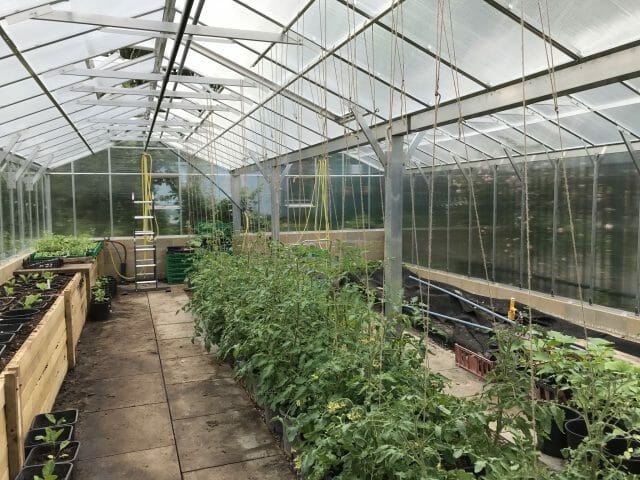 Semi-Commercial Greenhouses Gallery Dovetail Greenhouses