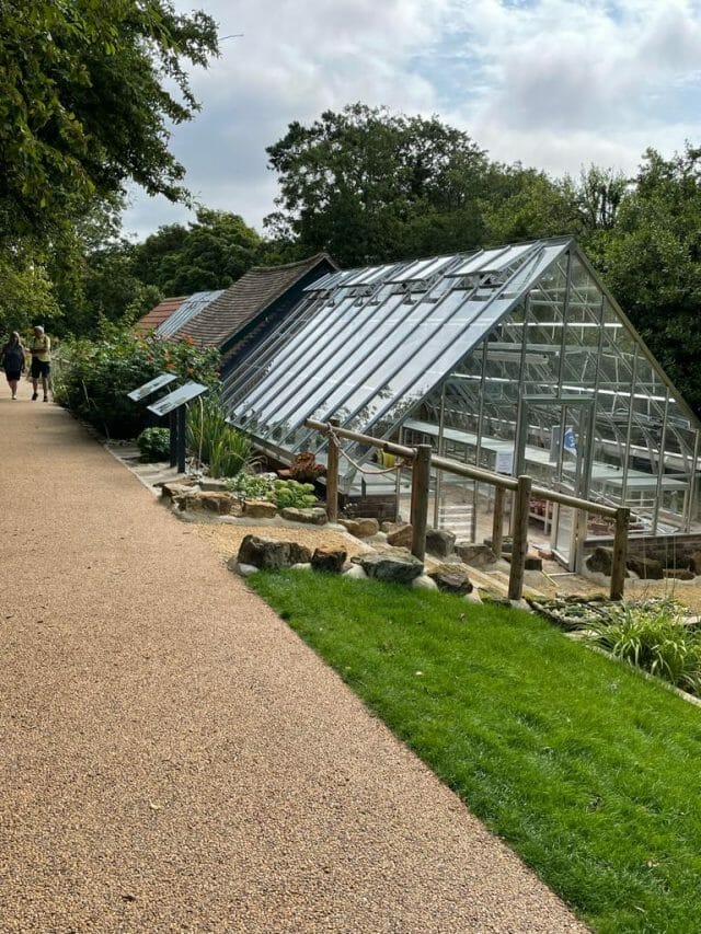 Semi-Commercial Greenhouses Gallery Dovetail Greenhouses