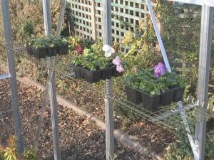 Shelf – open wire mesh