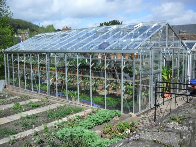 Semi-Commercial Greenhouses Gallery Dovetail Greenhouses
