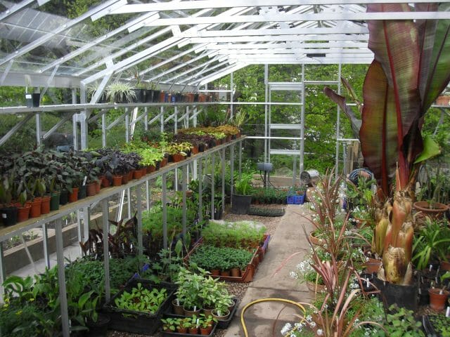 Semi-Commercial Greenhouses Gallery Dovetail Greenhouses