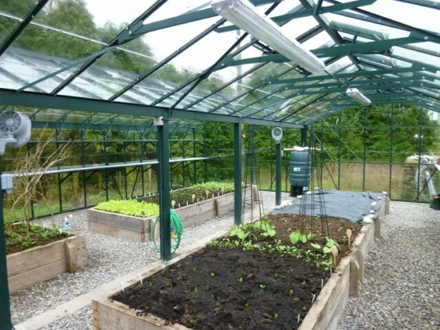 Semi-Commercial Greenhouses Gallery Dovetail Greenhouses