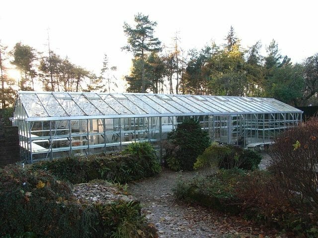 Semi-Commercial Greenhouses Gallery Dovetail Greenhouses