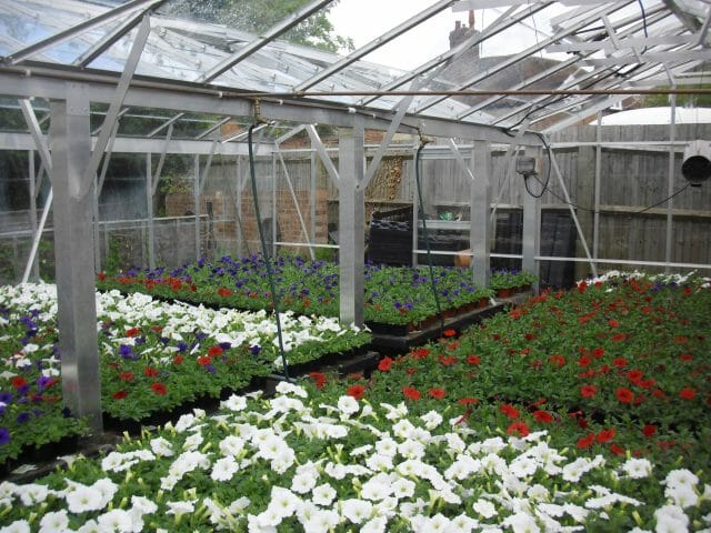 Semi-Commercial Greenhouses Gallery Dovetail Greenhouses