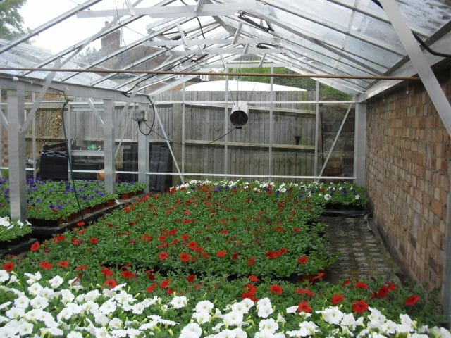 Semi-Commercial Greenhouses Gallery Dovetail Greenhouses