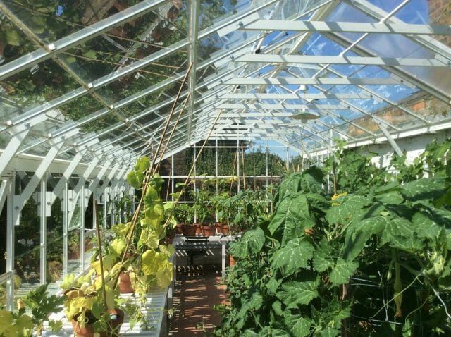 Semi-Commercial Greenhouses Gallery Dovetail Greenhouses