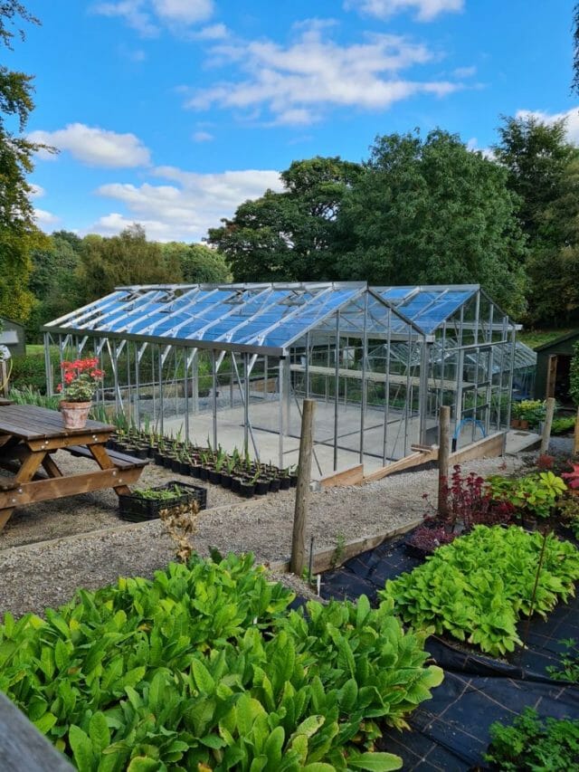 Semi-Commercial Greenhouses Gallery Dovetail Greenhouses