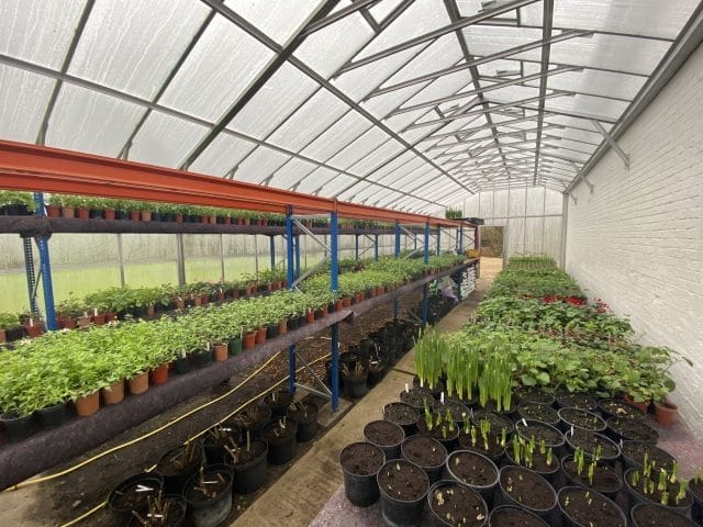 Semi-Commercial Greenhouses Gallery Dovetail Greenhouses