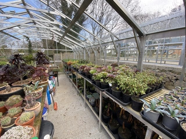 Semi-Commercial Greenhouses Gallery Dovetail Greenhouses